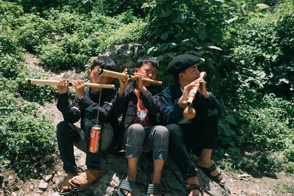 Explorez l'univers des flûtes amérindiennes en bois et canne