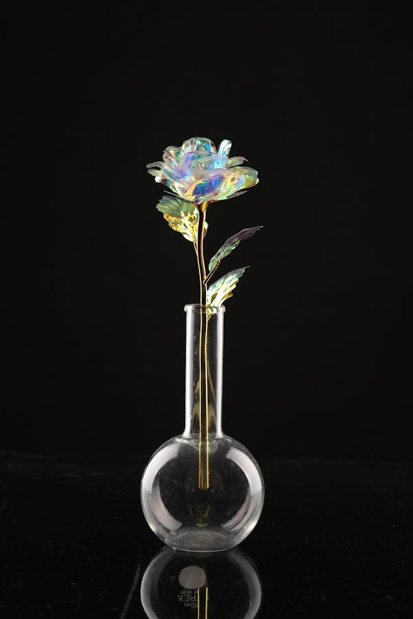 Rose bois personnalisée : le cadeau idéal pour mamie